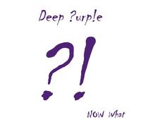 Deep Purple Now What? (Vinyl LP) 12" Album