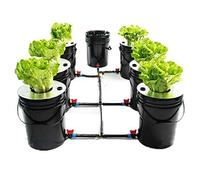 Deep Water Culture Hydroponic System Kit completo sistema completo senza fondo per interni, giardinaggio idroponico DWC System 5 Gallon 7 Bucket Kit DWC Hydroponic Grow Sistema di coltivazione Home