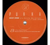 Deep Zone - It's Gonna Be Alright - Pukka Records