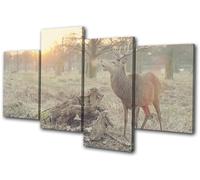 Deer Stag Sunset Nature Animals MULTI TELA parete arte foto stampa