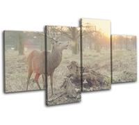 Deer Stag Sunset Nature Animals MULTI TELA parete arte foto stampa