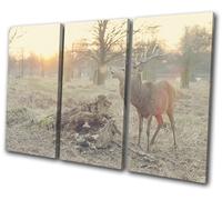 Deer Stag Sunset Nature Animals TREBLE TELA parete arte foto stampa