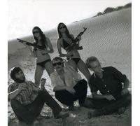 Deer Tick - War Elephant