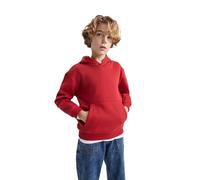 DeFacto B7773A8, Felpa con Cappuccio Ragazzi, Bordeaux,