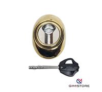 DEFENDER MAGNETICO MOTTURA PER SERRATURE OMEGA PVD ORO 3 CHIAVI