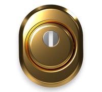 Defender per porte blindate con corpo in acciaio ottone lucido Cipierre 325C