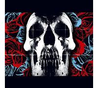 Deftones Deftones (Vinyl LP) 12" Album