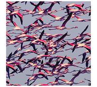 Deftones - Gore (LP)