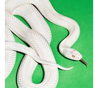 Private Music Vinile Clear