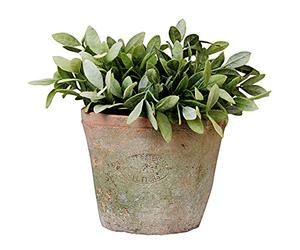 degawo Vaso da fiori in terracotta in stile rustico, altezza 12 cm