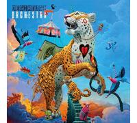 degiheugi-degiheugi orchestra dlp