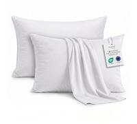DEGREES HOME Federa per Cuscino in Microfibra Extra Morbida e Traspirante - Set da 2 Federe Anallergiche e Antipiega - Misura 65 x 65 cm