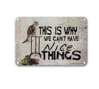 DEGUANG Targa in latta retrò con scritta in inglese "This is why we can't have nice things garden", decorazione da appendere alla parete, per cucina, casa colonica, 20 x 30 cm