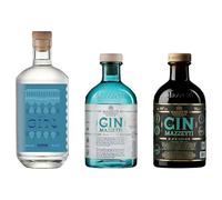 Degustazione GIN Italiano | Confezione da 3 bottiglie da 70 cl l'una: Gin artigianale De Antoni secco ed equilibrato, Mazzetti botanico, Mazzetti Black Edition speziato