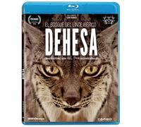 Dehesa, El Bosque Del Lince Ibérico