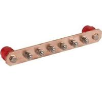 Dehn 472209 - Barra compensazione potenziale 295 x 40 x 6 mm Niro