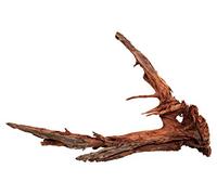 Dehner Aqua, radice di Mangrove Extra Large, Altezza ca. 80-90 cm, Marrone