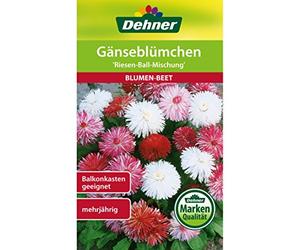Dehner Blumen-Saatgut, Gänseblümchen Riesen-Ball-Mischung, 0.5 g Sementi, 5er Pack (5 x 0.5 g)