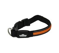 Dehner - Collare per Cani a LED Flash Collar, Lunghezza 51 cm, Altezza 2,5 cm, Tessuto a Rete, Nero/Arancione