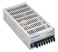Dehner Elektronik SDS 100L-24 Convertitore DC/DC 4.2 A 100 W Contenuto 1 pz.