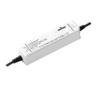 Dehner Elektronik SPF 100-24VSP Trasformatore per LED, Driver per LED Tensione