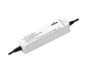 Dehner Elektronik SPF 100-24VSP Trasformatore per LED, Driver per LED Tensione