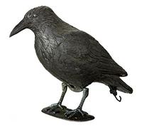 Dehner - Figura Decorativa Corvo, ca. 38 x 22,5 x 13,5 cm, in plastica