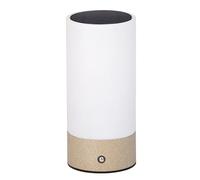 Dehner Lampada solare Levi Ø9 x H20 cm - Lampada LED per esterni con funzionamento solare e a batteria, cavo USB-C incluso, bianco caldo, sensore crepuscolare, acciaio inox e vetro