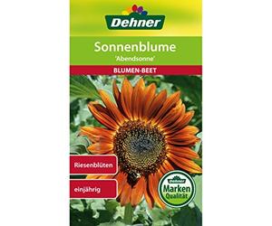 Dehner - Sementi per Fiori, Girasole Abendsonne, Confezione da 5 (5 x 4 g)