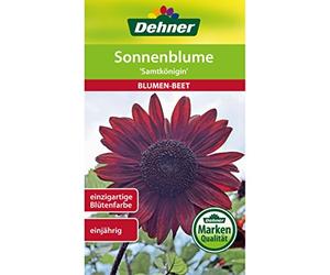 Dehner - Sementi per Fiori, Girasole Samtkönigin, Confezione da 5 (5 x 2,5 g)
