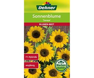 Dehner - Sementi per Fiori, Girasole Soraya, Confezione da 5 (5 x 6 g)