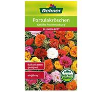 Dehner - Sementi per germogli, germogli, Mix di prugne Piene, Confezione da 5 (5 x 0,7 g)