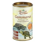 Dehner Terra - Spuntino anfibo, 1 l