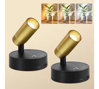 Dehobo Applique Camera da Letto con Telecomando - Faretto a Batteria 3 Temperature di Colore - Faretto LED di Ricarica Intensità Variabile con Funzione Timer - Adatto per Arte, Piante, Nero e Oro 2 Pz