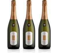 Dei Casel - Valdobbiadene Prosecco Superiore Docg Extra Dry - Elegante E Raffina