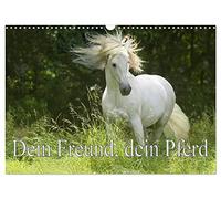 Dein Freund, dein Pferd (Wandkalender 2026 DIN A3 quer), CALVENDO Monatskalender: Zum richtigem Zeitpunkt mit dem Besitzer des Pferdes auf der Koppel zu sein.