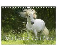 Dein Freund, dein Pferd (Wandkalender 2026 DIN A4 quer), CALVENDO Monatskalender: Zum richtigem Zeitpunkt mit dem Besitzer des Pferdes auf der Koppel zu sein.