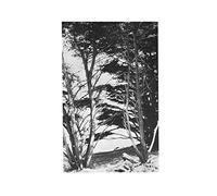 Rick Deitrick Gentle Wilderness (Vinyl LP) 12" Album