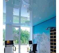 Deko-Light Basic lampada a soffitto, GU10, 110035, Basic [Lampade per Interni > Lampade a Soffitto]