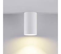 Deko-Light Can IP44 lampada a soffitto, GU10, 348243, Can IP44; Can [Lampade per Interni > Lampade a Soffitto]