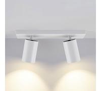 Deko-Light Can Tilt faretto 2 luci, GU10, 348247, Can Tilt; Can [Lampade per Interni > Punti Luce e Faretti]