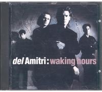 Del Amitri - Waking Hours