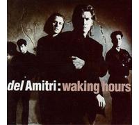 Del Amitri Waking Hours (CD) Album