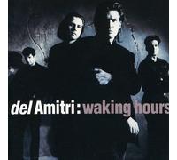 Del Amitri - Waking Hours Import edition by Del Amitri (2006) Audio CD