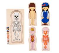 del corpo umano, in legno, anatomia interattiva, puzzle educativo con