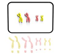 del cromosoma Meiosi Modello Strumenti di apprendimento Biologia Scienze facili