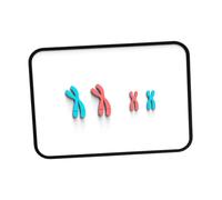 del cromosoma Meiosi Modello Strumenti di apprendimento Biologia Scienze facili