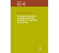 Del estado de necesidad al Estado de Bienestar: El derecho a la Seguridad Social Mínima: 48