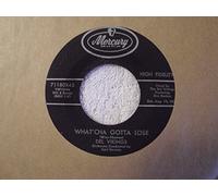 DEL VIKINGS - come along with me / what'cha gotta lose