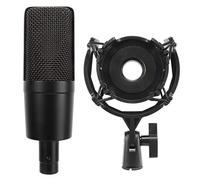 Delaman Microfono a condensatore cardioide cablato, supporto shock incluso per voci, podcasting, trasmissione, trasmissione, ASMR, qualità audio professionale